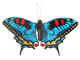 magneet vlinder groot blauw.jpg (16648 bytes)