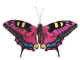 magneet vlinder groot roze rood.jpg (14823 bytes)