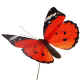 speld vlinder klein rood.jpg (16847 bytes)