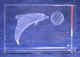 dolfijn van laserkristal